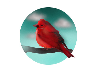 Little Bird animal art artwork bird bird illustration digital art illustration sketch