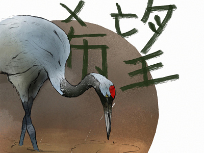 Red-crowned crane animal crane drawing illustration japan kanji procreate