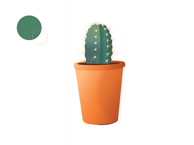 Cactus 🌵 cactus design green illustration leaves orange plant plants pots prick vector