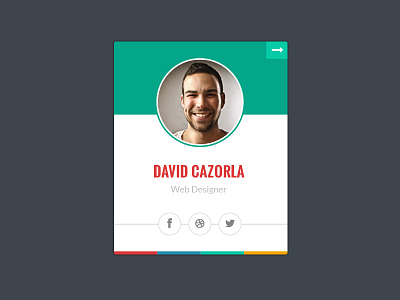 Team Member Profile about card member portfolio profile skills team widget