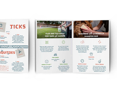 Flea and Tick Info Booklet branding customer experience design page design