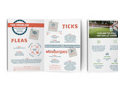 Flea and Tick Info Booklet branding customer experience design page design