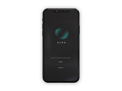 Echo Music App - Splash Screen