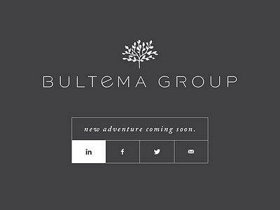 Bultema Group | Splash Page Design