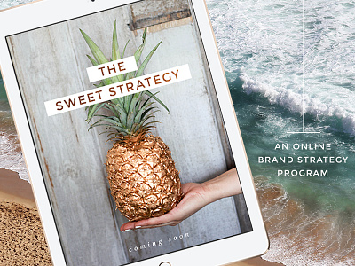 The Sweet Strategy - Online Program behind the scenes brand branding digital strategy ecourse janessa rae janessa rae design creative learning pineapple program strategy the sweet strategy