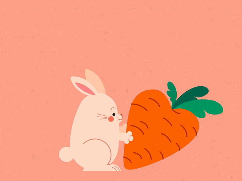 Bunny motion graphics design character animation pet carrot love bunny 2d moho animation