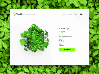 LABS - E-Commerce Shop 012 adobe xd daily ui 12 dailyui design e commerce ecommerce ecommerce shop green plant plants product shop shopping