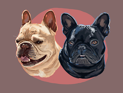French Bulldogs art cintiq illustration pet portrait portrait art