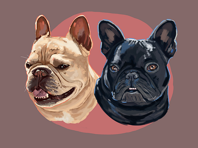 French Bulldogs