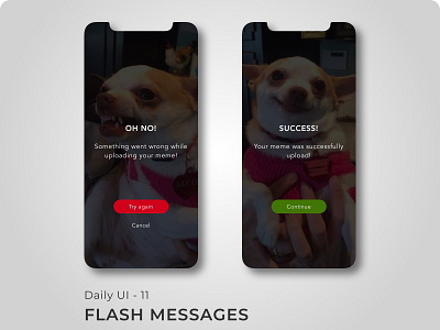 Daily UI: Day 11 - Flash Messages 100 days challenge 100 days of ui app branding design flat typography ui ux