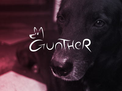 Gunther Logo dog dog logo graphic design logo vector