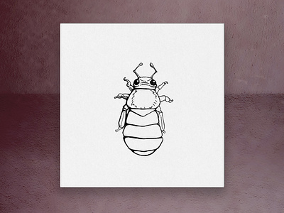 Bee draw drawing illustration