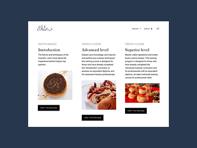 Ritz. Web. Concept. app branding design graphic design illustration ui ux