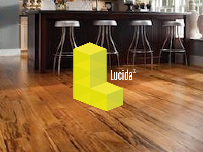 Lucida 3d branding cubes effect flooring home house light logo translucent typography visual identity