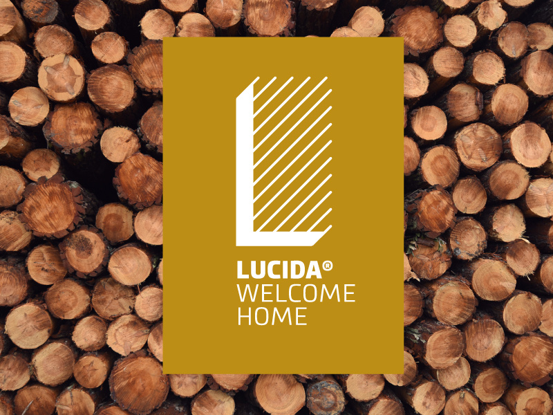 Lucida by Verena Tam on Dribbble
