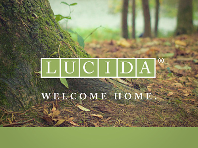 Lucida brand flooring forest home interior laminate logo natural nature parquet typography wood