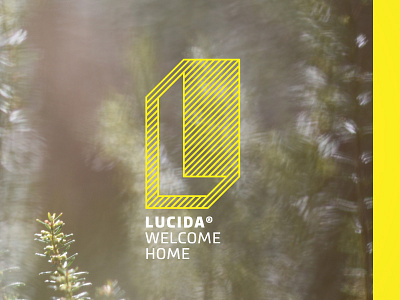 Lucida architectural branding diagonal home letter lines logo nature outlines technical technical drawing typography yellow