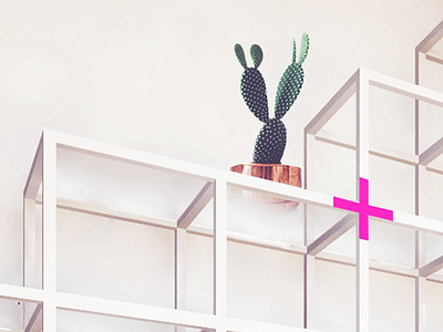+SHELF cactus construction furniture design graphic interior interior branding plus shelf styling working room workplace
