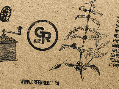 GREEN REBEL branding carton coffee cup eco ecologic food graphic design green identity packaging paper