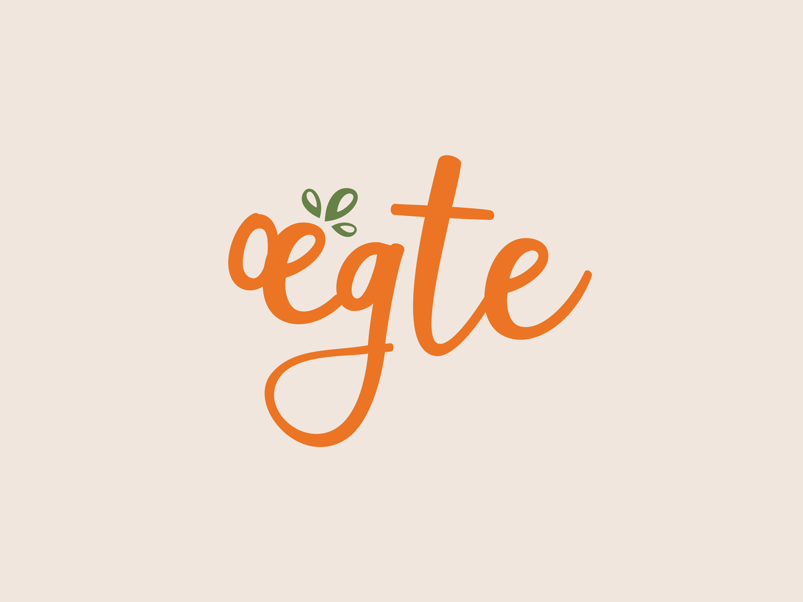 Ægte vegan spreads branding food identity identity design illustration logo logo design logomark logotype logotypes packaging vegan