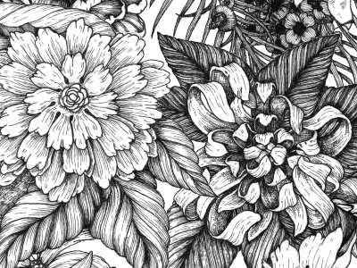 WALLPAPER doodle flower illustration leaves lines rotring