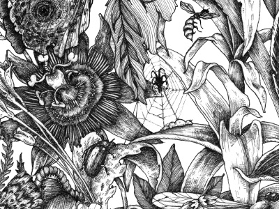 WALLPAPER bugs doodle flower illustration leaves lines rotring spider