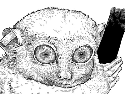 Tarsier fur illustration lines tarsier texture