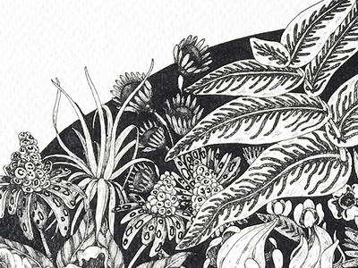 Grosdoug black and white flowers illustration leaves lines rotring