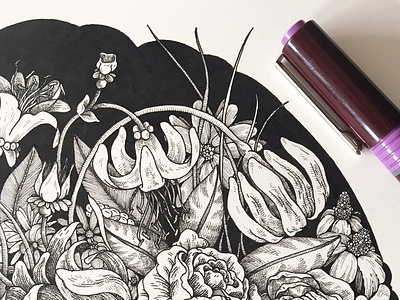 Bloom black and white flower illustration leaves lines love rotring