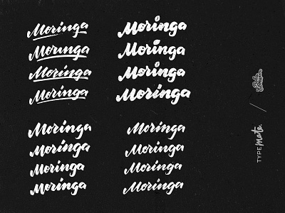 Moringa logo sketches brush calligraphy grass green handwritten leaf lettering letters logo moringa sketch variations