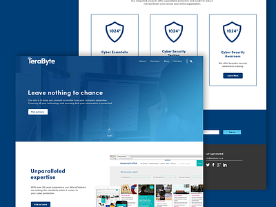 Terabyte homepage blue brand branding clean homepage simple tech website