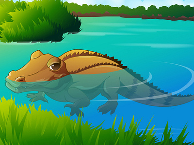 Crocodile illustration illustration illustrator design vector