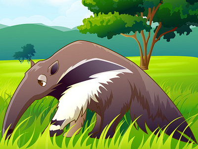 Anteater illustration illustration illustrator design vector