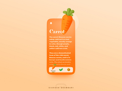 The Carrot