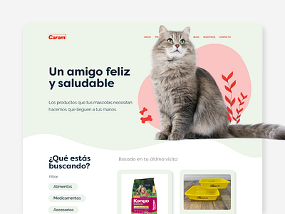 Pets E-commerce design ecommerce pets shop ui design uiux web design