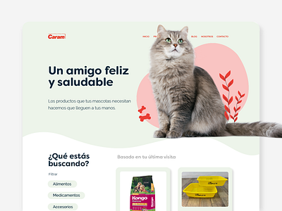 Pets E-commerce