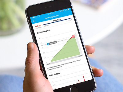 DTE Insight Electricity Budget budget electricity energy energymanagement graph ui ux