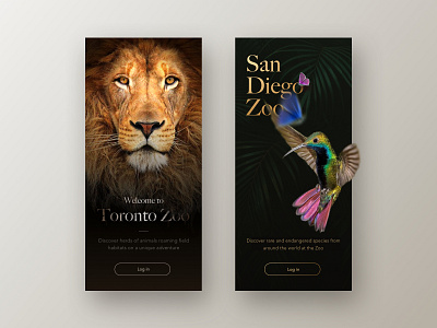 Zoo animals app application concept design design inspiration inspiration nature typography ui ui design ux welcome screen zoo