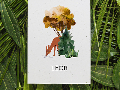 Birth announcement LEON