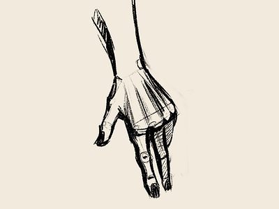 Hand Anatomy Study Exercise