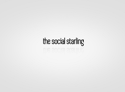 The Social Starling logo bird bird logo brand branding design logo logo design negativespace social starling typography vector