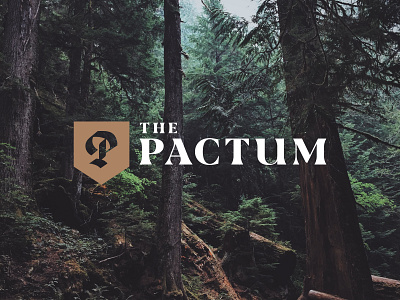 Pactum Podcast bible biblical blackletter branding design handlettered lettering logo monogram podcast podcast design theology typography