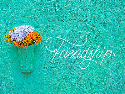 Friendship handlettered lettering monoline typography wip