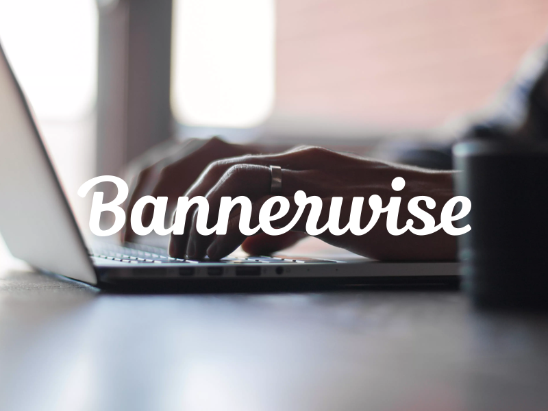 Bannerwise 2.0 grid logo branding serif logo type lettering script word mark identity