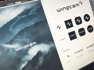Guidelines von Wingcam. branding font letter lettering logo logodesign logotype sans serif