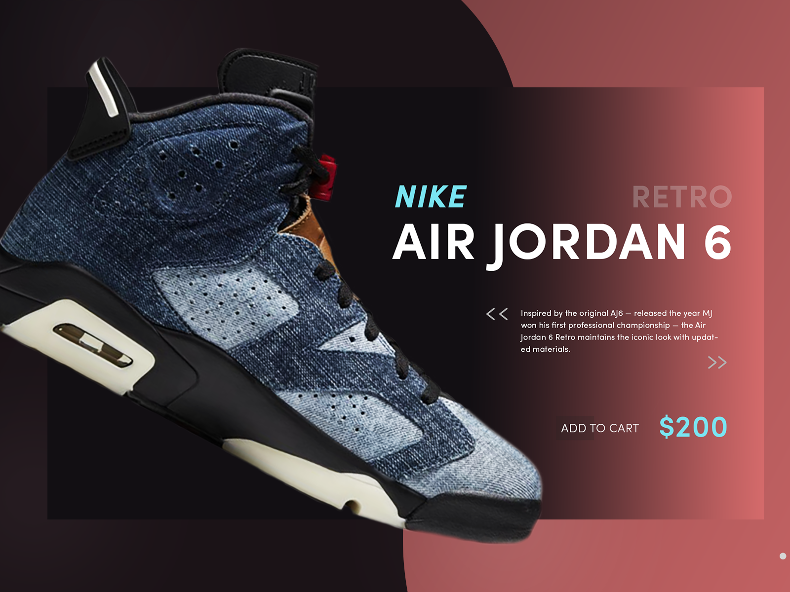 shoe show nike backpacks