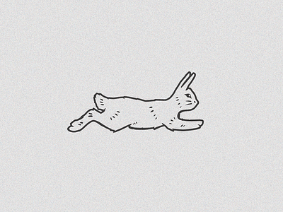 Alpha Bunny bunny illustration rabbit running