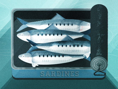 Sardines blue box fish photoshop sardine vector