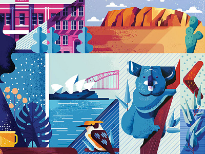Forbes Japan australian blue illustration illustrator koala travel vector