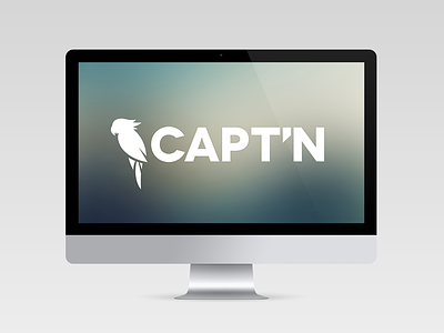 Capt'n captn computer design illustrations parrot screen web